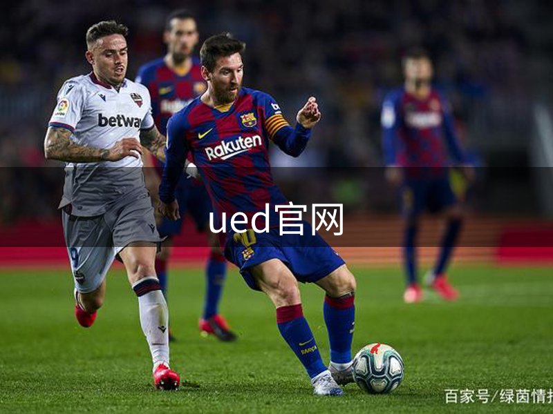 网站介绍